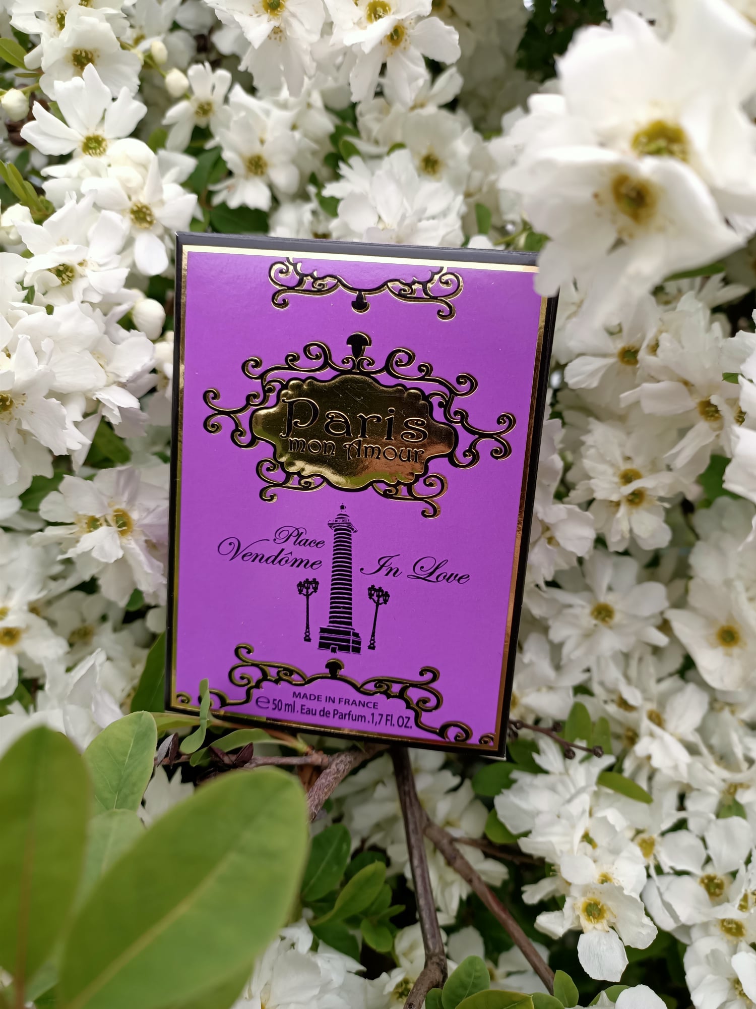 172595341_158595666144425_3772510250811560381_n