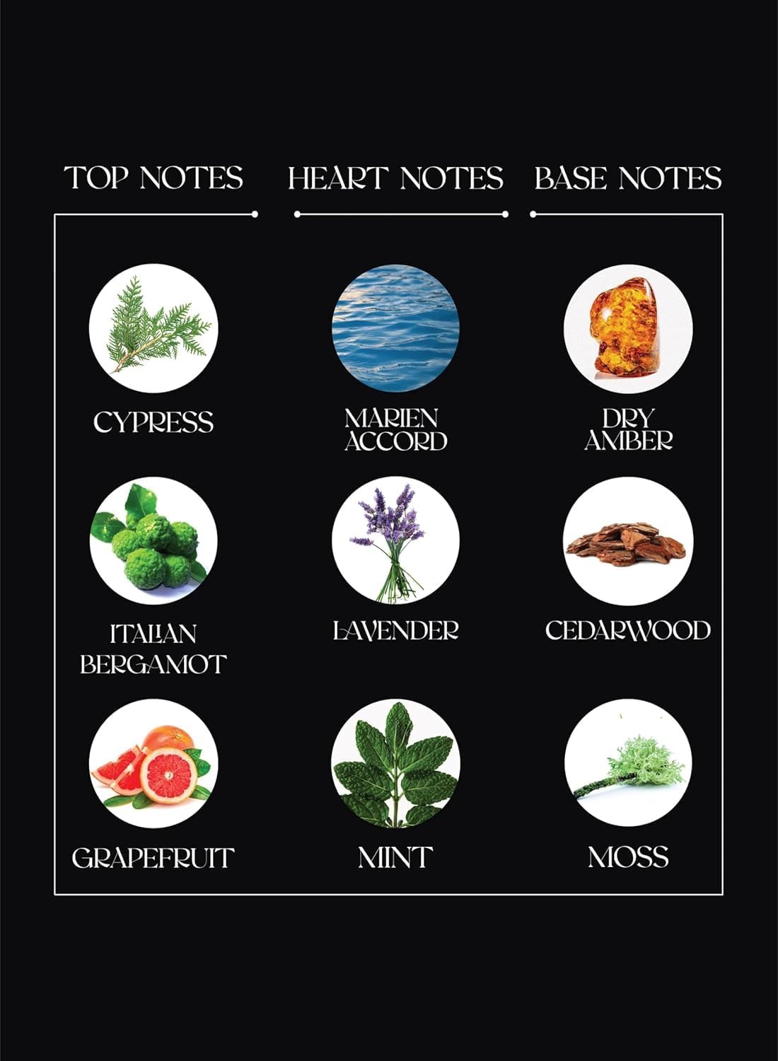 MPF My Perfumes Wicked Legend4