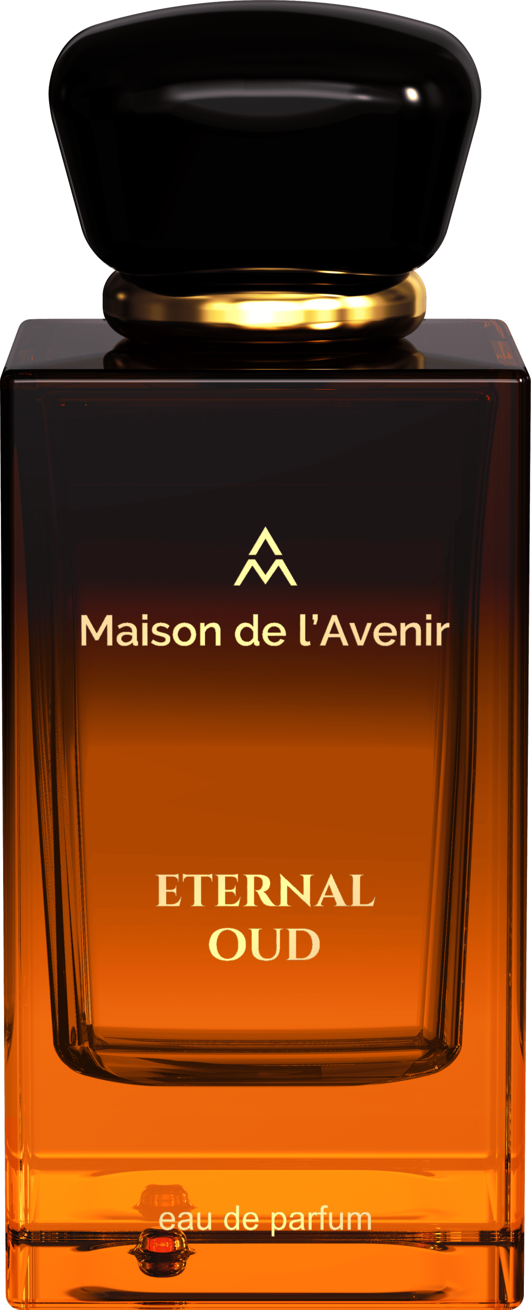 MA ETERNAL OUD BOTTLE ISO
