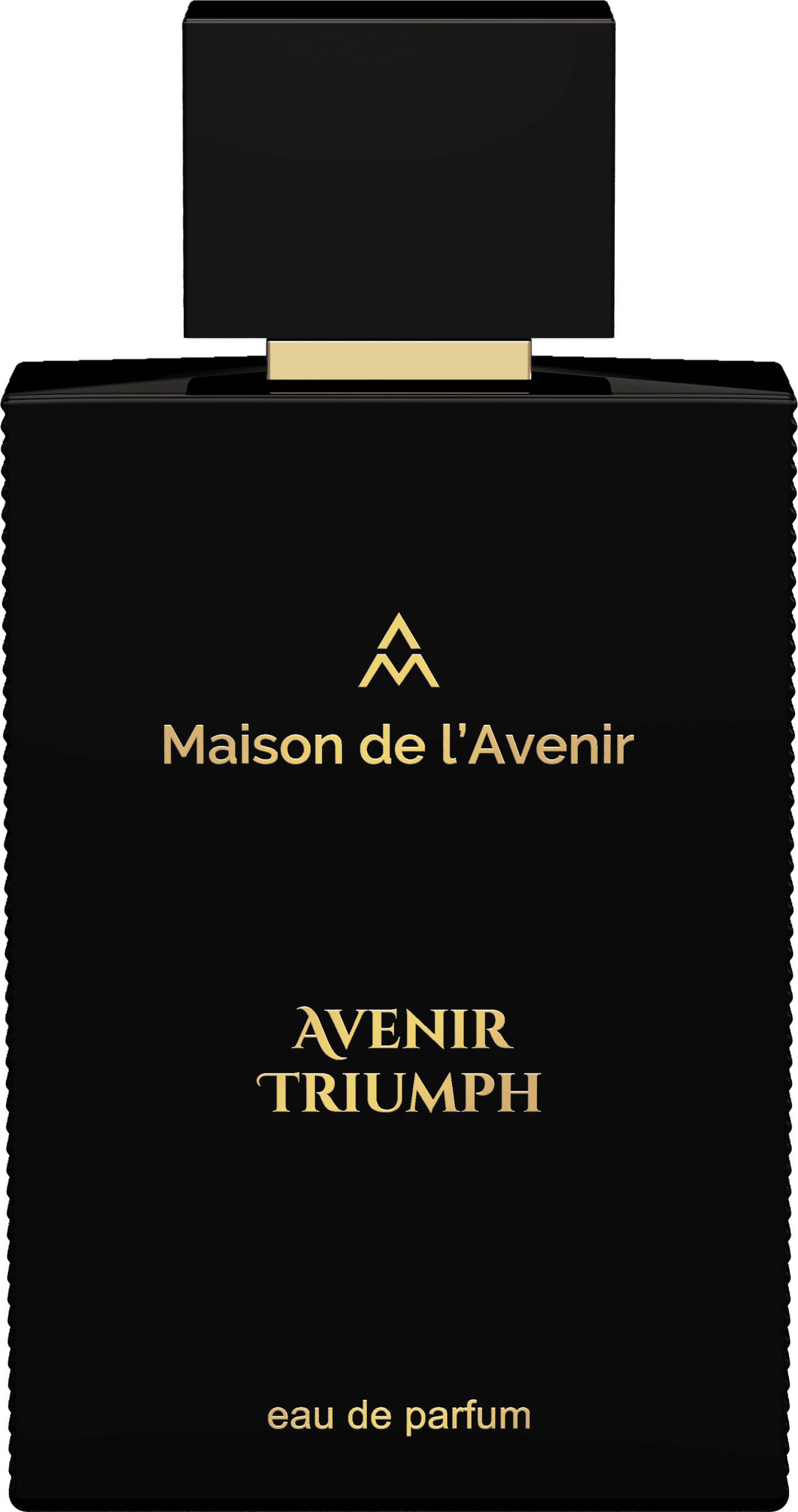 MA AVENIR TRIUMPH BOTTLE ISO (SEP 24)